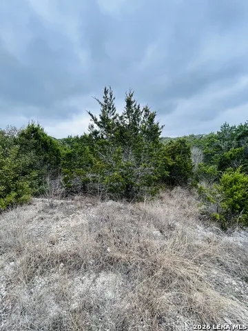 CR 2763 LOT 439 Bear Spring Ranch Mico, TX 78056