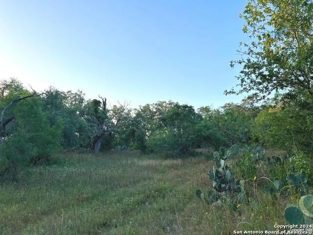 0 Bruce Rd. Pleasanton, TX 78064