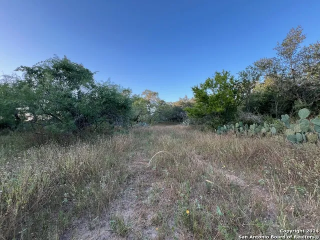 0 Bruce Rd. Pleasanton, TX 78064