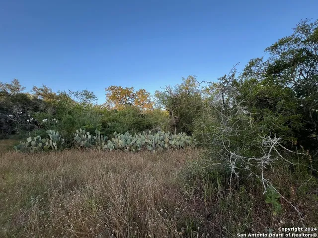 0 Bruce Rd. Pleasanton, TX 78064