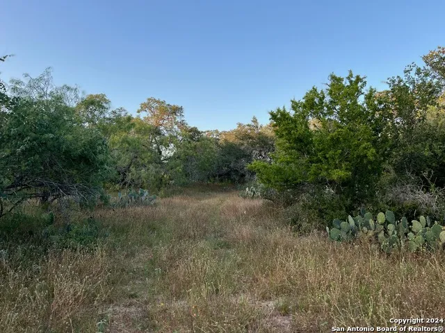 0 Bruce Rd. Pleasanton, TX 78064