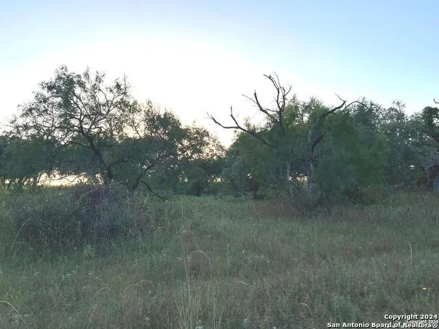 0 Bruce Rd. Pleasanton, TX 78064