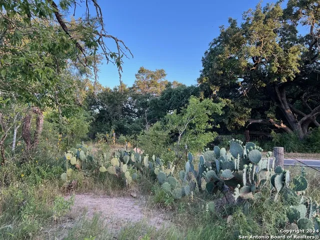 0 Bruce Rd. Pleasanton, TX 78064