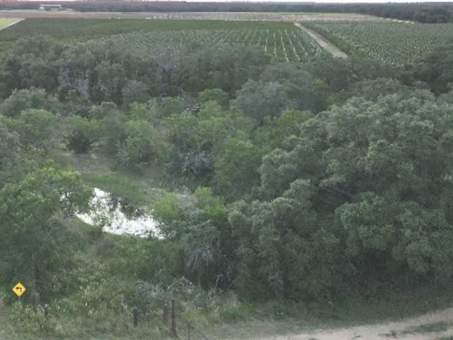 0 Bruce Rd. Pleasanton, TX 78064