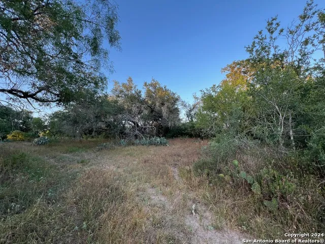 0 Bruce Rd. Pleasanton, TX 78064