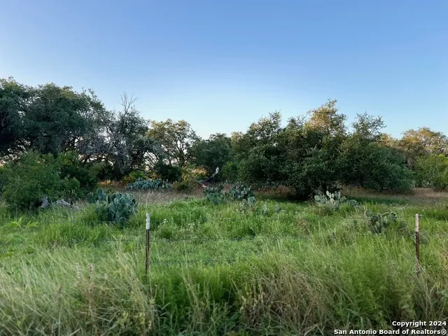 0 Bruce Rd. Pleasanton, TX 78064