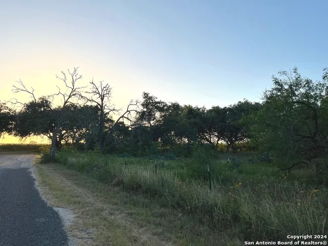 0 Bruce Rd. Pleasanton, TX 78064