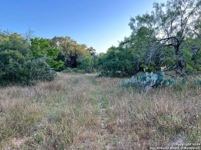 0 Bruce Rd. Pleasanton, TX 78064