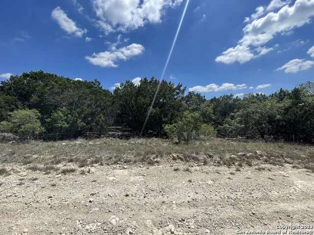 1719 CAMPFIRE Spring Branch, TX 78070