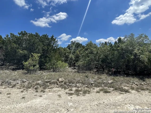 1719 CAMPFIRE Spring Branch, TX 78070