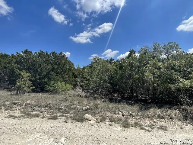 1719 CAMPFIRE Spring Branch, TX 78070