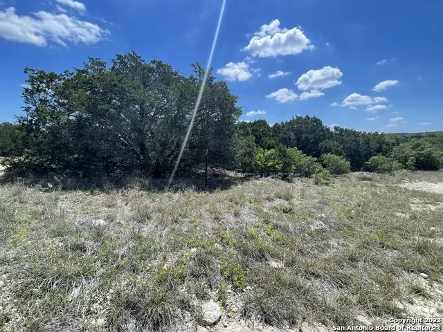 1719 CAMPFIRE Spring Branch, TX 78070