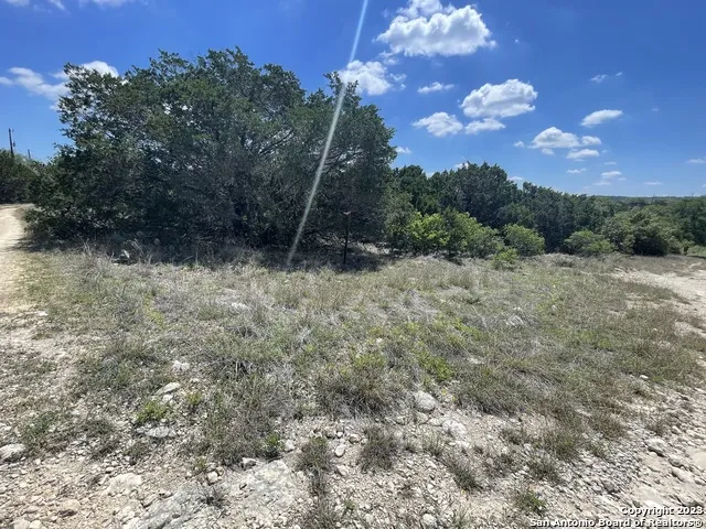 1719 CAMPFIRE Spring Branch, TX 78070