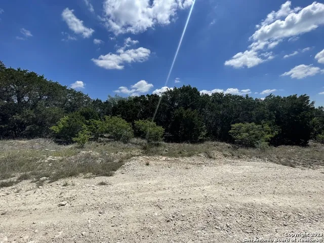 1719 CAMPFIRE Spring Branch, TX 78070