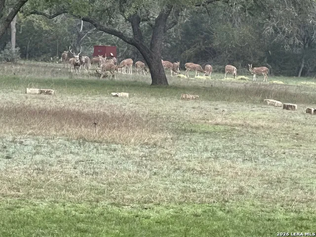 196 Rock Bottom Hunt, TX 78024