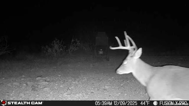 00 CR 107 Ozona, TX 76943