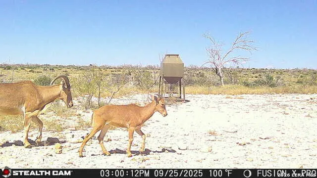 00 CR 107 Ozona, TX 76943
