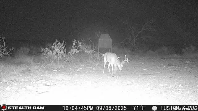 00 CR 107 Ozona, TX 76943
