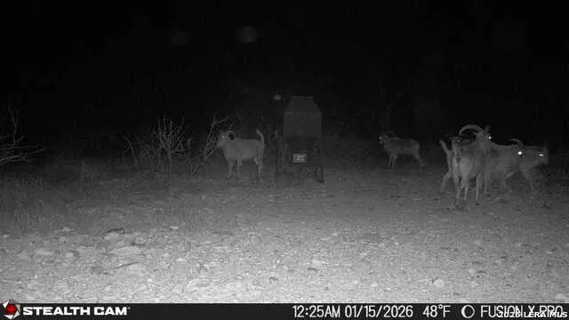 00 CR 107 Ozona, TX 76943