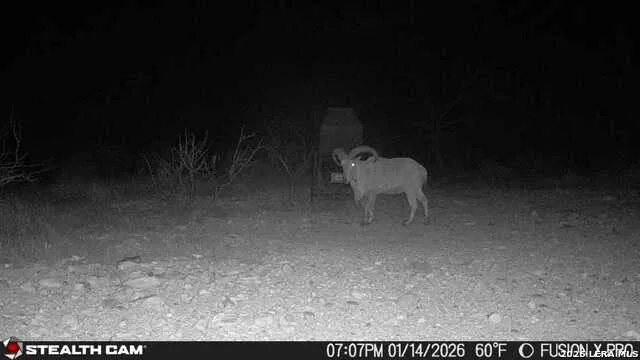 00 CR 107 Ozona, TX 76943