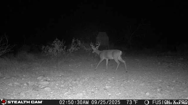 00 CR 107 Ozona, TX 76943