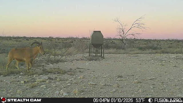 00 CR 107 Ozona, TX 76943