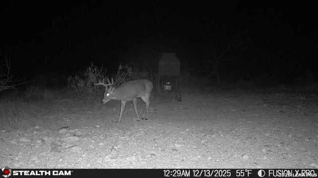 00 CR 107 Ozona, TX 76943