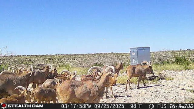 00 CR 107 Ozona, TX 76943