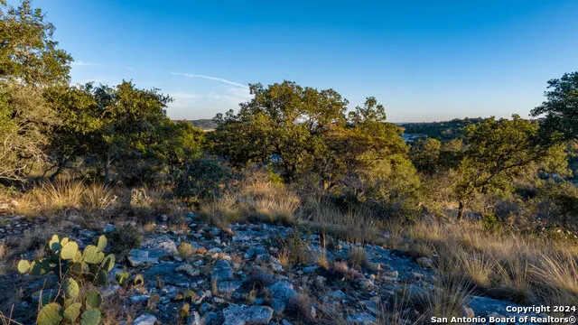 259 Lookout Point N Boerne, TX 78013