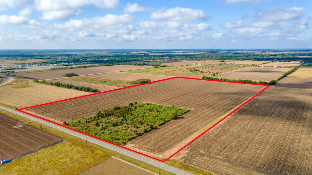 Fm 2919 Beasley, TX 77417