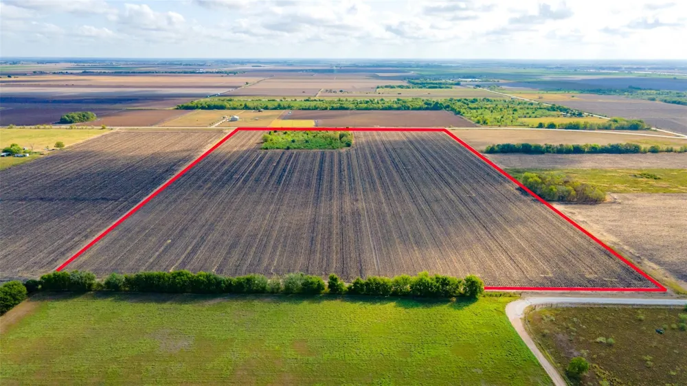 Fm 2919 Beasley, TX 77417