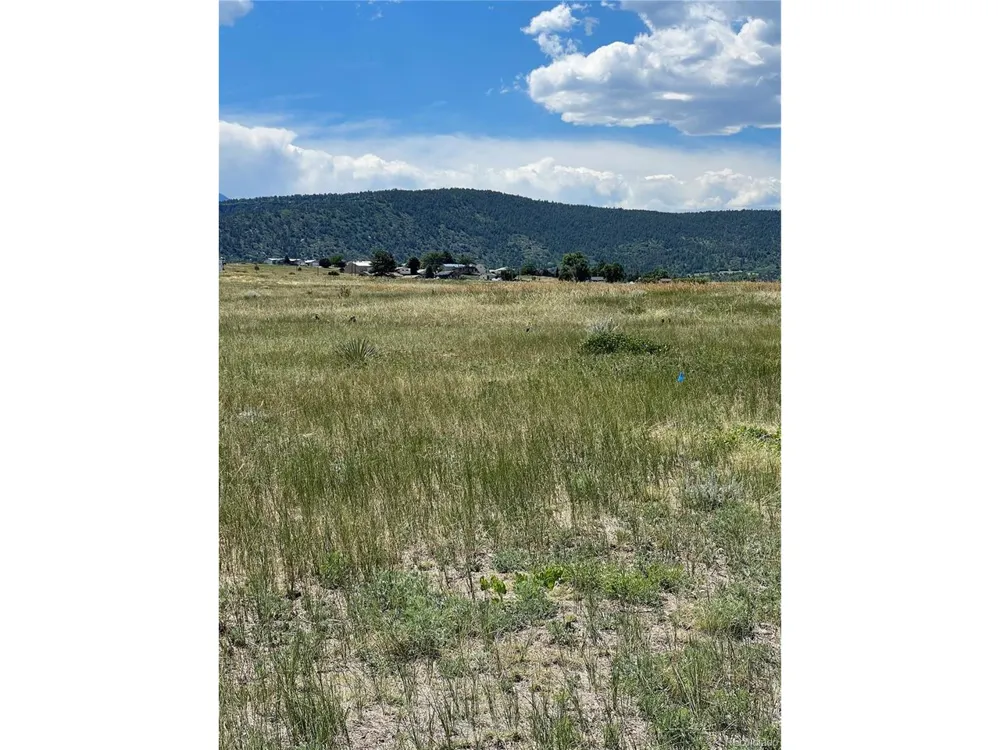 453 Las Animas Way Colorado City, CO 81019