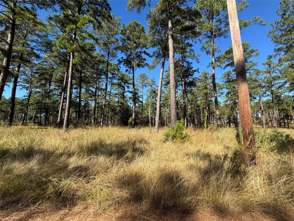 57 Private Road 6028 Brookeland, TX 75931