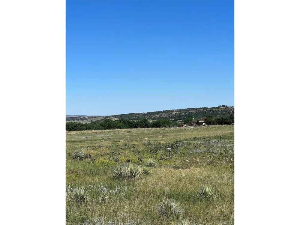368 Las Animas Way Colorado City, CO 81019