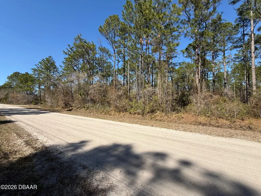 4664 Clove Avenue Bunnell, FL 32110