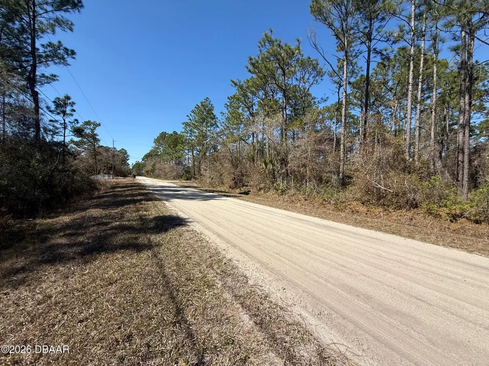 4664 Clove Avenue Bunnell, FL 32110