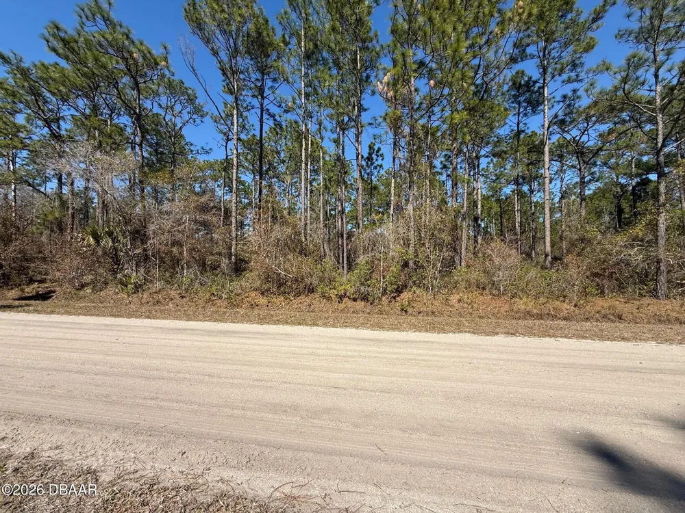 4664 Clove Avenue Bunnell, FL 32110
