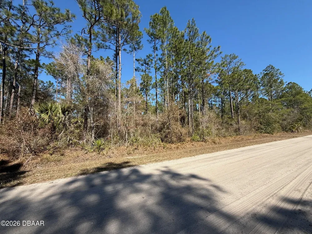 4664 Clove Avenue Bunnell, FL 32110