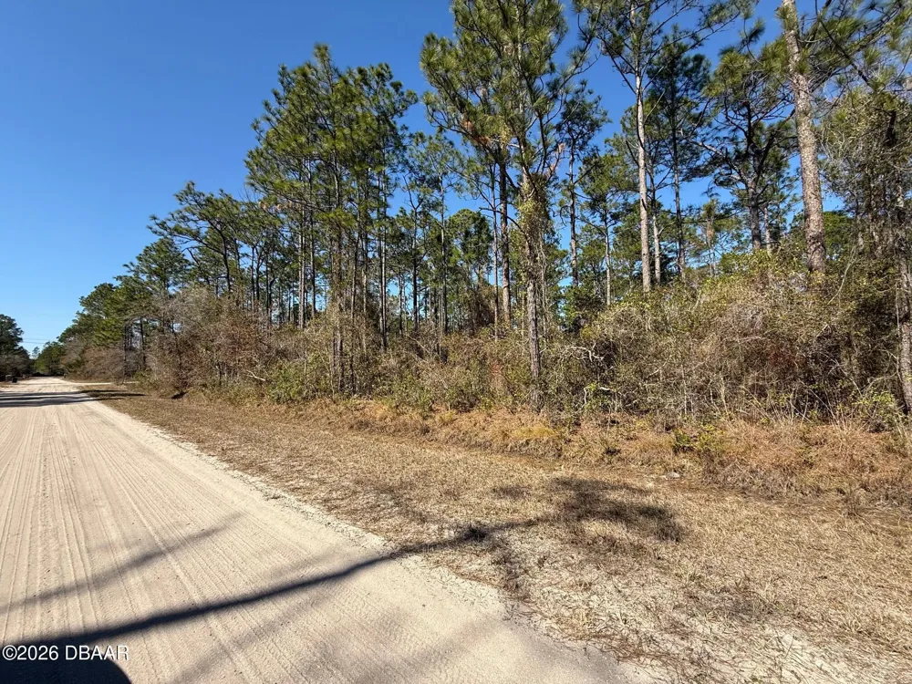 4664 Clove Avenue Bunnell, FL 32110