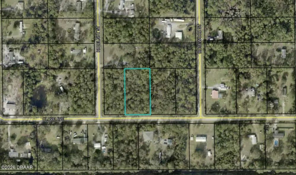 4664 Clove Avenue Bunnell, FL 32110