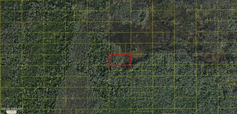 Holopaw Groves Road