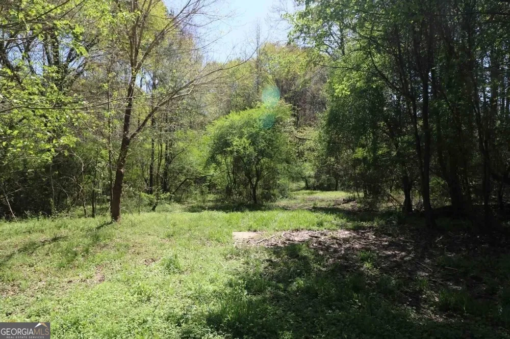 0 Old Conyers RD Stockbridge, GA 30281
