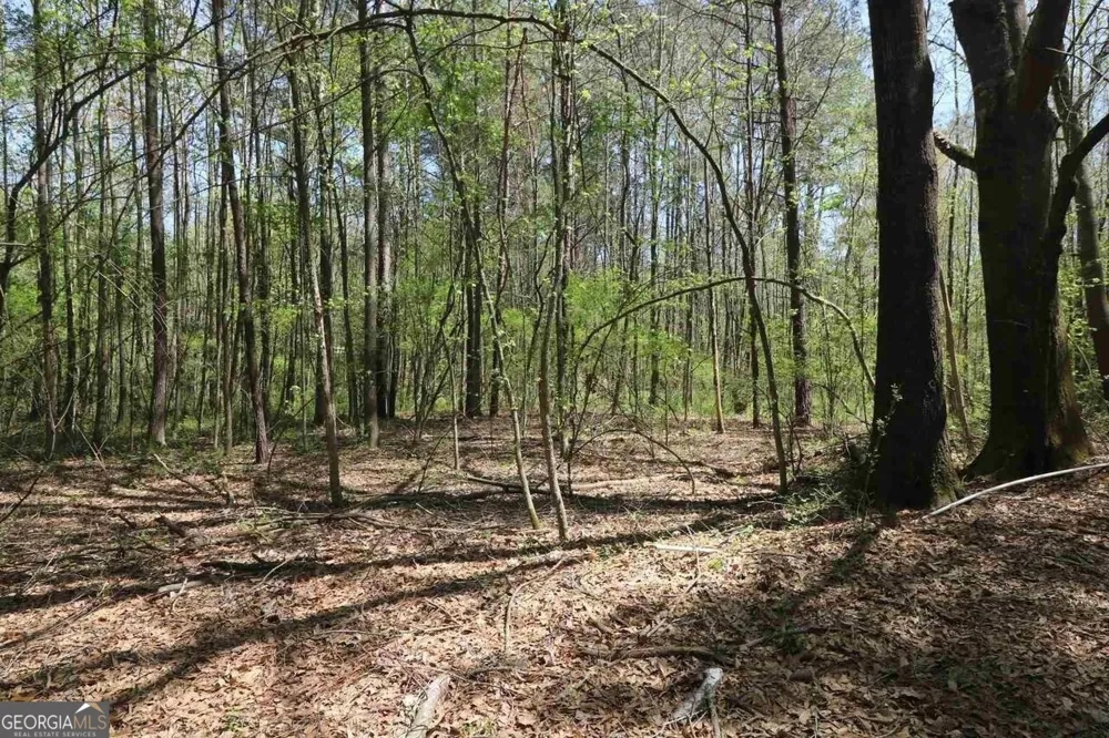 0 Old Conyers RD Stockbridge, GA 30281
