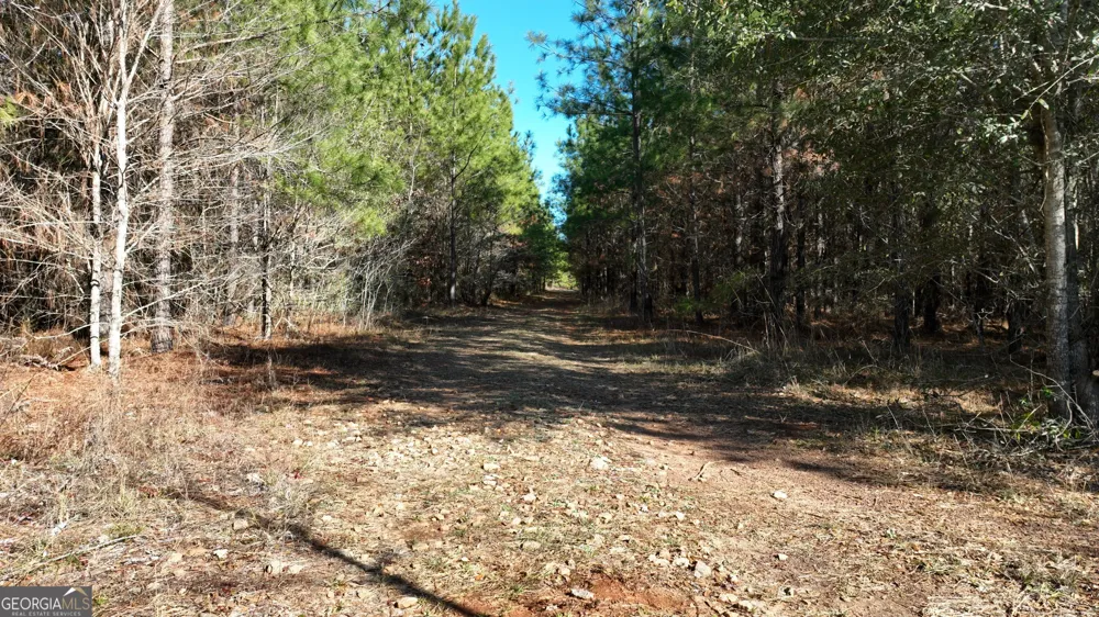 0 Belmont RD Louisville, GA 30434