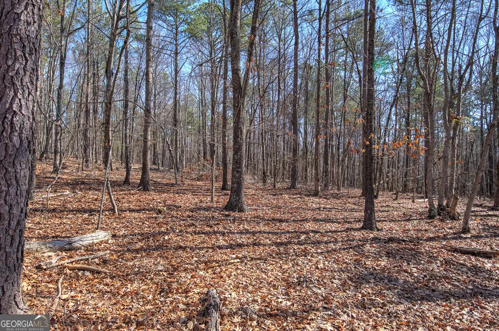 676 Flowery Branch RD Kingston, GA 30145