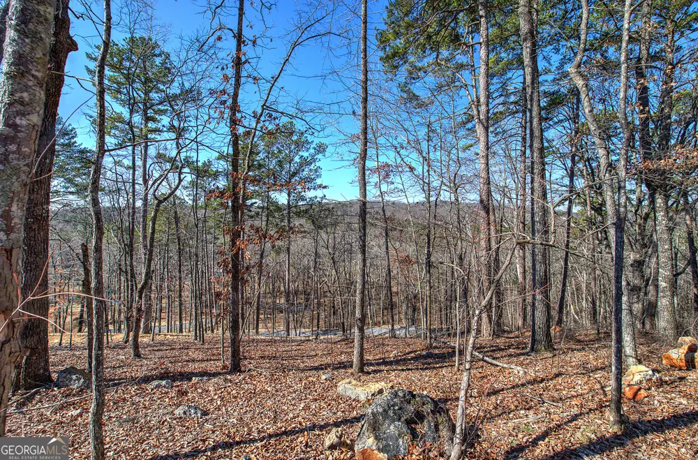 676 Flowery Branch RD Kingston, GA 30145