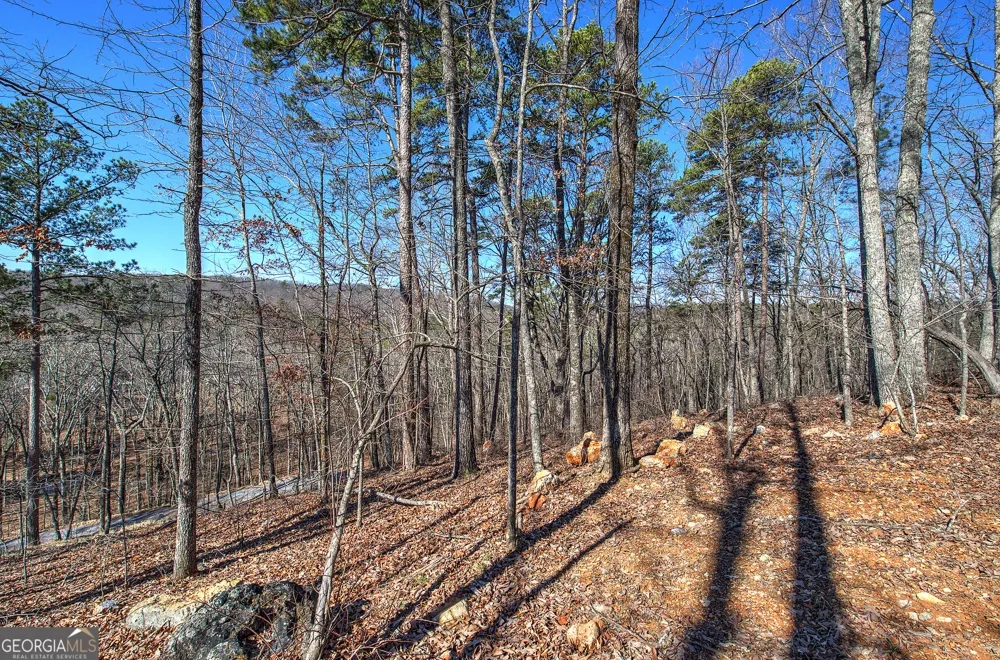 676 Flowery Branch RD Kingston, GA 30145