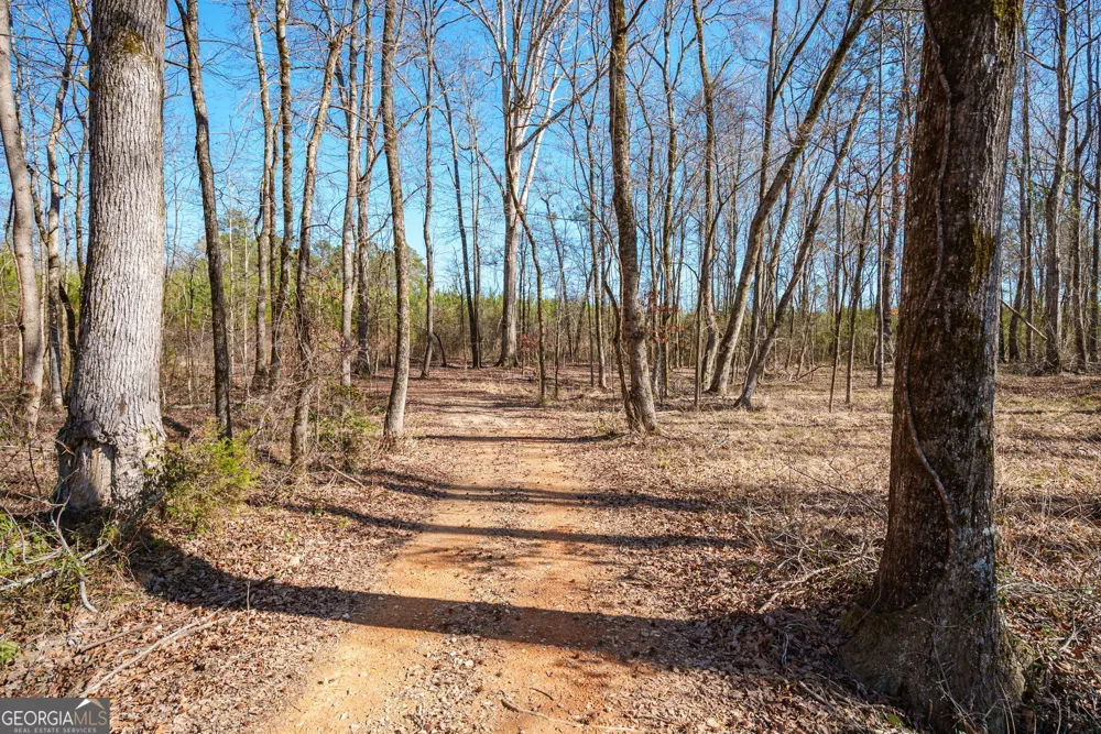 0 Warren RD White Plains, GA 30678