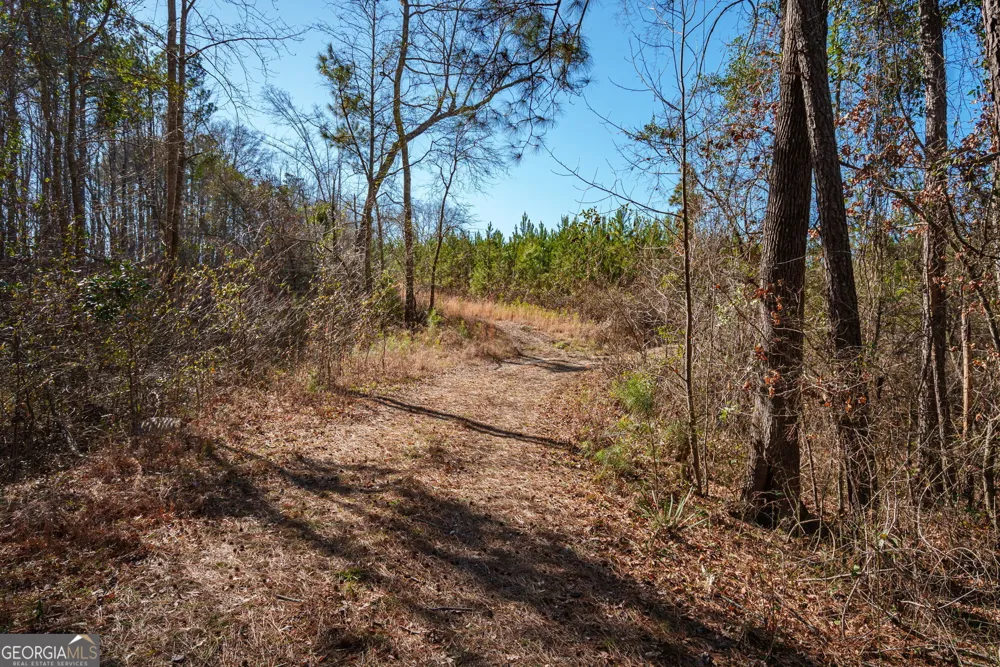 0 Warren RD White Plains, GA 30678