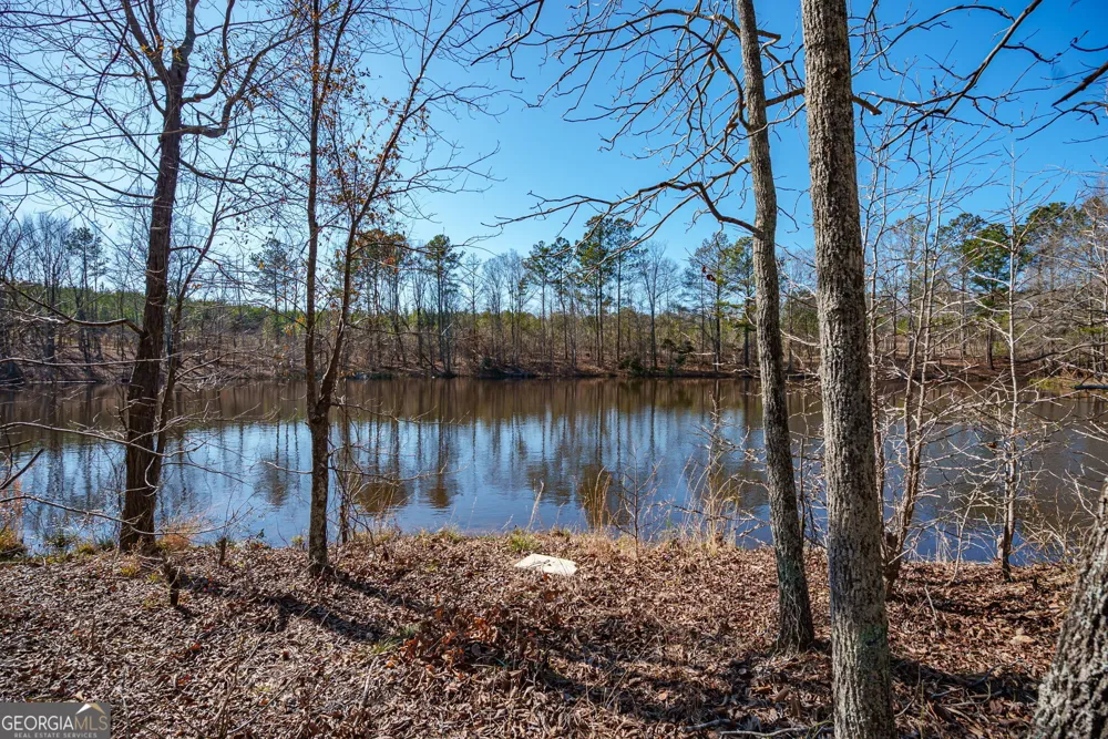 0 Warren RD White Plains, GA 30678